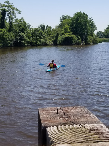 Boat Rental Service «Blackwater Paddle and Pedal Adventures», reviews and photos, 2524 Key Wallace Dr, Cambridge, MD 21613, USA