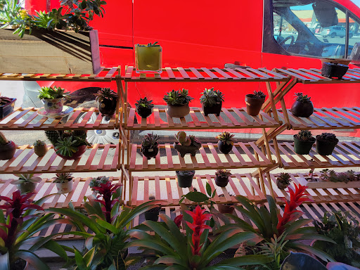 Florist «Morning Pond Flowers & Design», reviews and photos, 899 Blooming Grove Turnpike, Vails Gate, NY 12584, USA