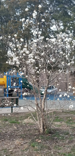 Tourist Attraction «Greensfelder Memorial Shelter», reviews and photos, 13236 Streetcar Dr, Maryland Heights, MO 63043, USA