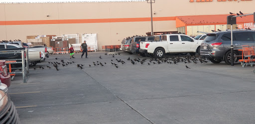 Home Improvement Store «The Home Depot», reviews and photos, 12005 Elam Rd, Balch Springs, TX 75180, USA