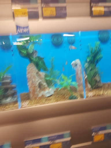 Pet Supply Store «PetSmart», reviews and photos, 1110 NY-112, Port Jefferson Station, NY 11776, USA