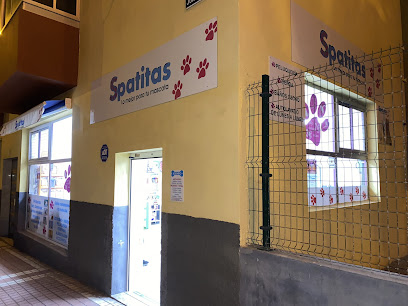 Peluquería spatitas - Servicios para mascota en Palmas de Gran Canaria