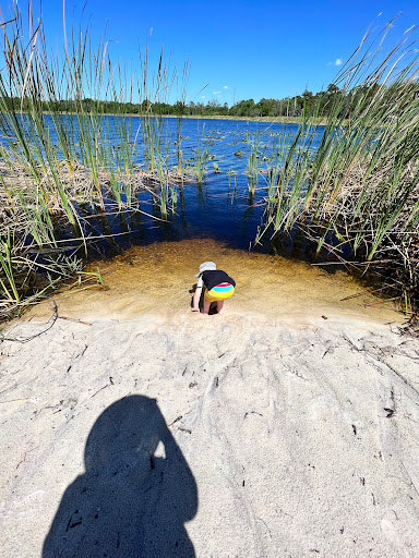 Park «Lake Park», reviews and photos, 17302 N Dale Mabry Hwy, Lutz, FL 33548, USA