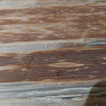 Photo n°2 de l'avis de Maria.i fait le 11/09/2023 à 19:55 sur le  Pizzeria La Dolce Vita à Montecchio