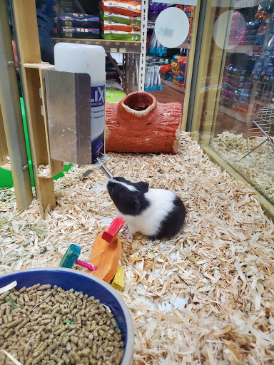 Pet Supply Store «PetSmart», reviews and photos, 4510 S US Hwy 17 92, Casselberry, FL 32707, USA