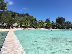 Foto von Plage des tipaniers annehmlichkeitenbereich