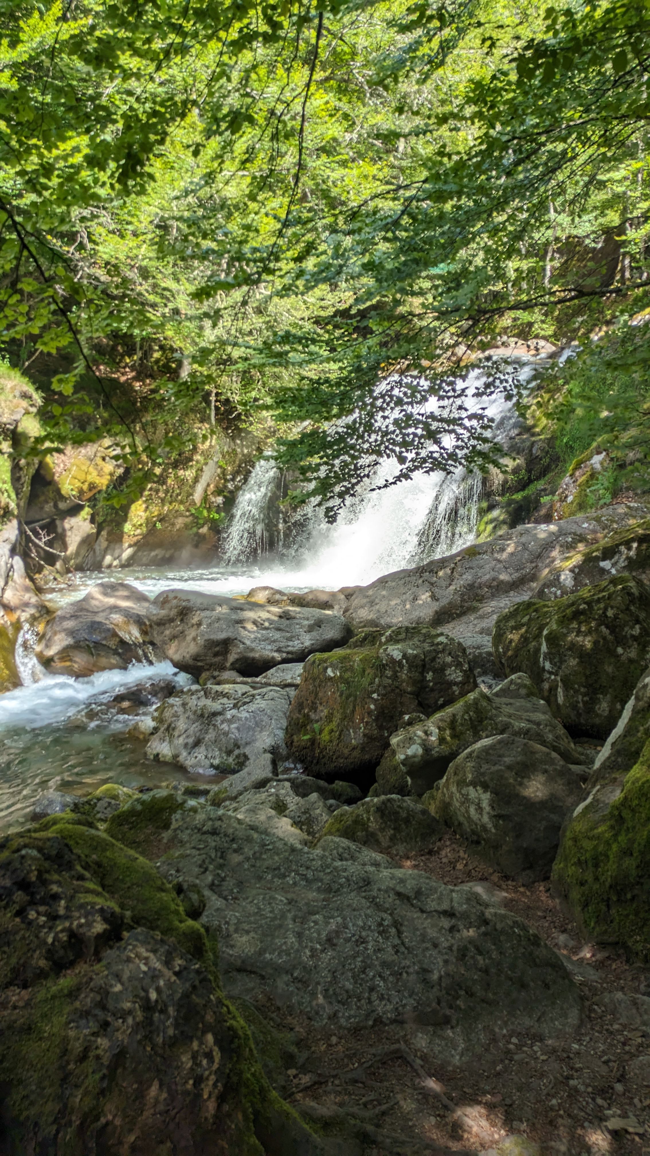 Photo n° 17 de l'avis de Dada.e fait le 15/08/2023 à 12:32