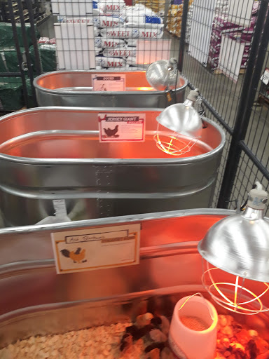 Home Improvement Store «Tractor Supply Co.», reviews and photos, 5618 US-90, Theodore, AL 36582, USA