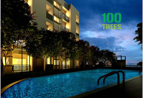 Google Maps image 21