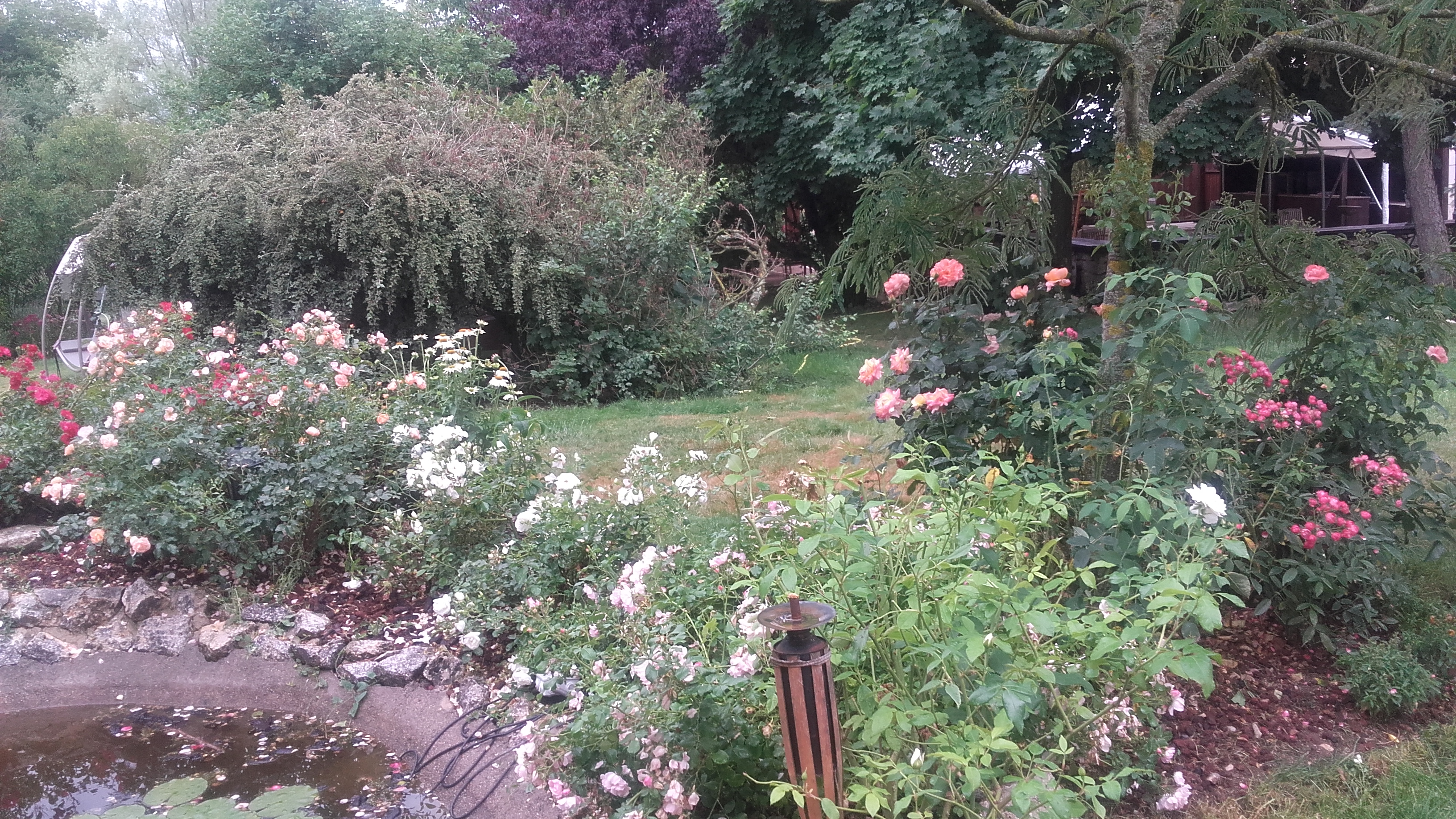 Photo n° 6 de l'avis de Erwan.u fait le 29/06/2017 à 12:59