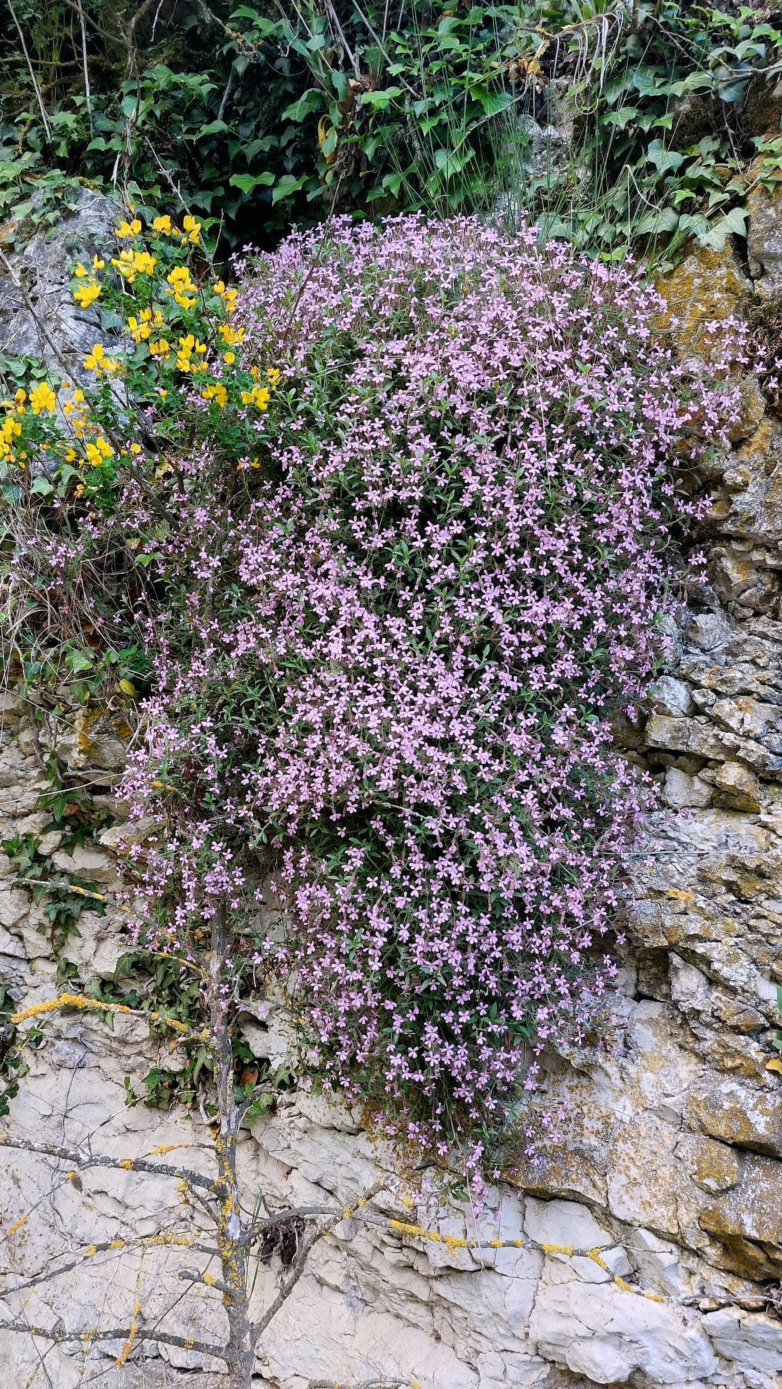 Photo n° 4 de l'avis de Robaclis. fait le 09/05/2023 à 16:30