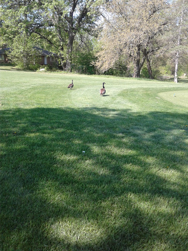 Golf Course «Woodland Hills Golf Course», reviews and photos, 620 NE 66th Ave, Des Moines, IA 50313, USA