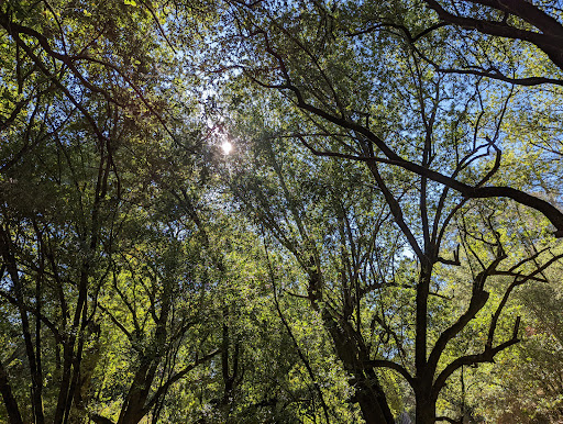 Park «Tilden Regional Park», reviews and photos, 2501 Grizzly Peak Boulevard, Orinda, CA 94563, USA