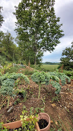 Photo n°37 de Nepenthe à Rochegude ()