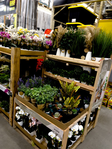 Home Improvement Store «The Home Depot», reviews and photos, 721 S 25th St, Easton, PA 18045, USA