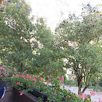 Photo n°3 de l'avis de annag1967. fait le 26/08/2022 à 16:06 sur le  Hotel ristorante Rio Bianco Panchià - HOTEL con centro BENESSERE Panchià Val di Fiemme - ALBERGO con steak house e PIZZERIA à Panchià