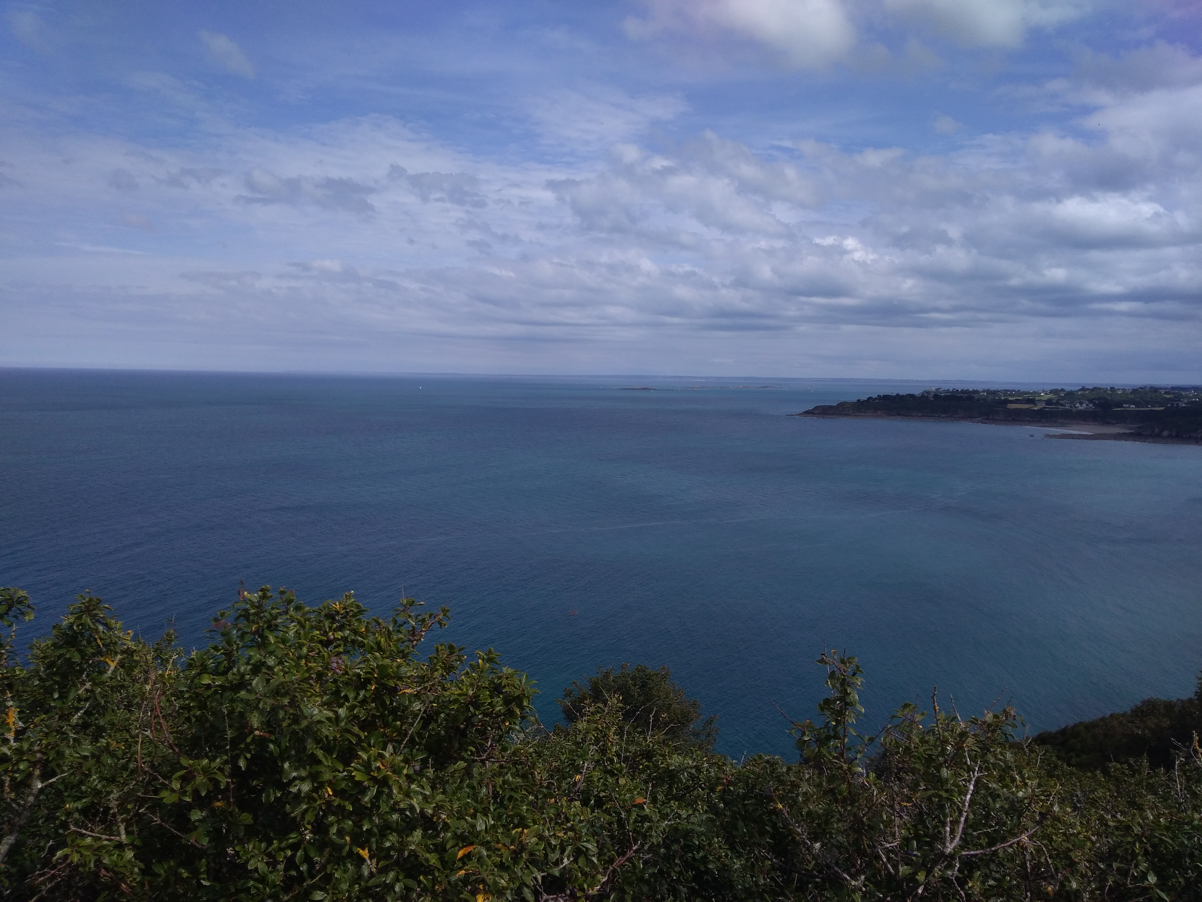 Photo n° 2 de l'avis de eric. fait le 04/08/2019 à 11:38