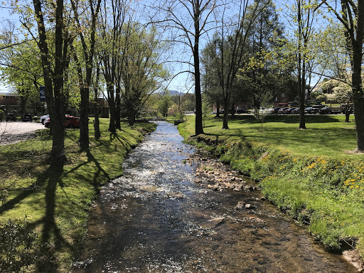 College «Brevard College», reviews and photos