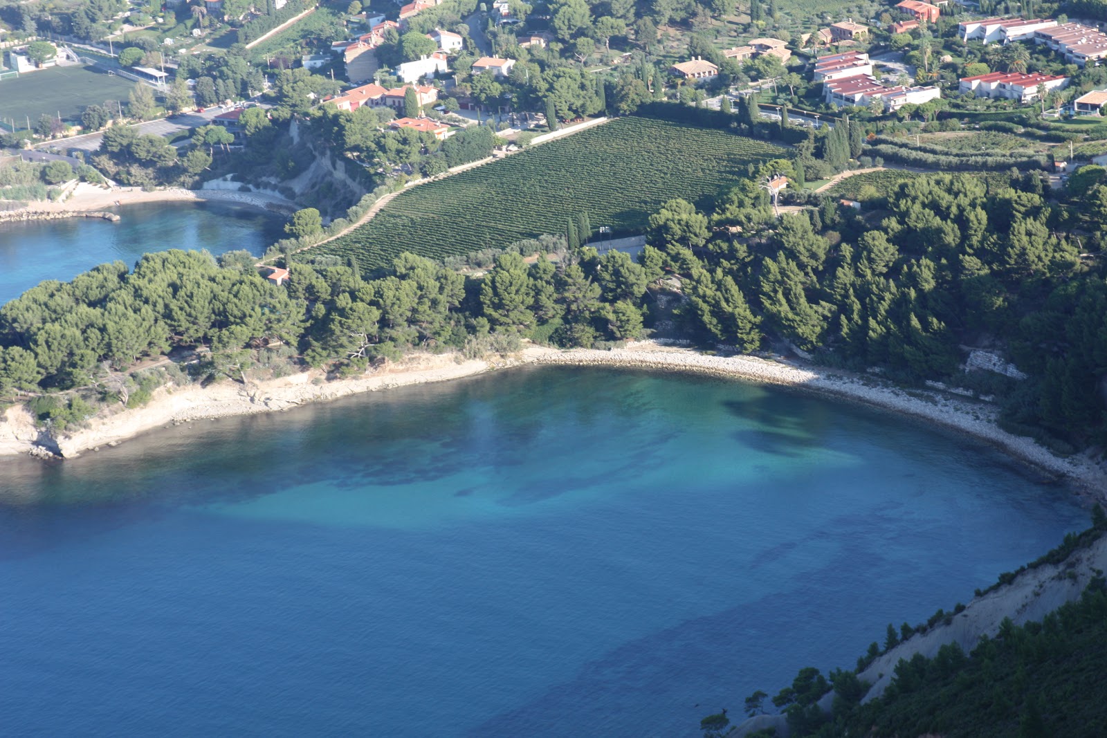 Plage de l'Arene'in fotoğrafı vahşi alan