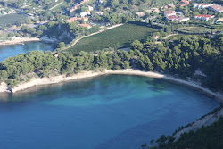Plage de l'Arene'in fotoğrafı vahşi alan