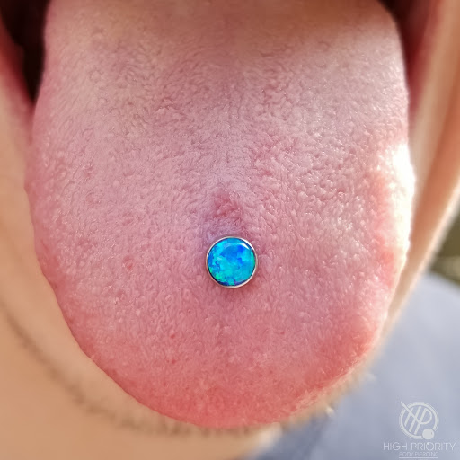 Explore goose tattoo ideas, creative tattoo ideas in Slidell, available at High Priority Body Piercing