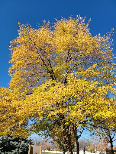 Park «Heritage Park», reviews and photos, 4425 W Cedar Hills Dr, Cedar Hills, UT 84062, USA