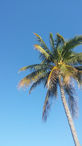 Shopping Mall «Tahitian Gardens», reviews and photos, 1975 Periwinkle Way, Sanibel, FL 33957, USA