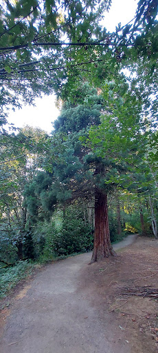 Park «Marine View Park», reviews and photos, 20945 Marine View Dr SW, Normandy Park, WA 98166, USA