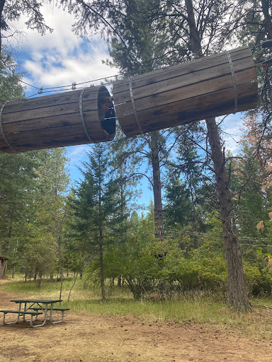 Tourist Attraction «Tree to Tree Adventure Park», reviews and photos, 2975 SW Nelson Rd, Gaston, OR 97119, USA