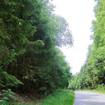 Photo n°2 de l'avis de Christina.c fait le 04/06/2023 à 17:40 sur le  Café Hugo à Lindau