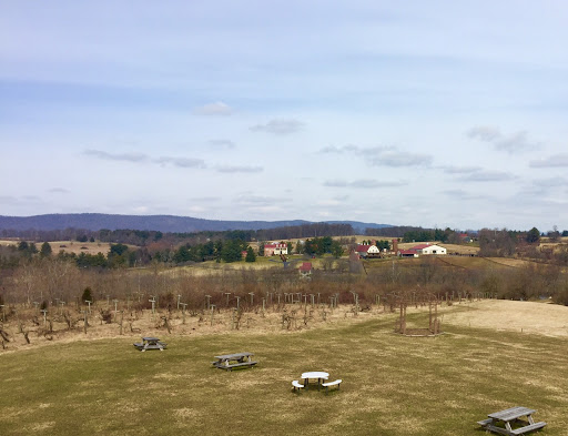 Winery «The Wine Reserve at Waterford», reviews and photos, 38516 Charles Town Pike, Waterford, VA 20197, USA