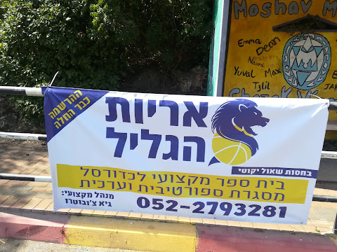 תמונה