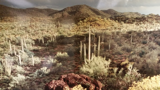 National Park «Casa Grande Ruins National Monument», reviews and photos, 1100 W Ruins Dr, Coolidge, AZ 85128, USA