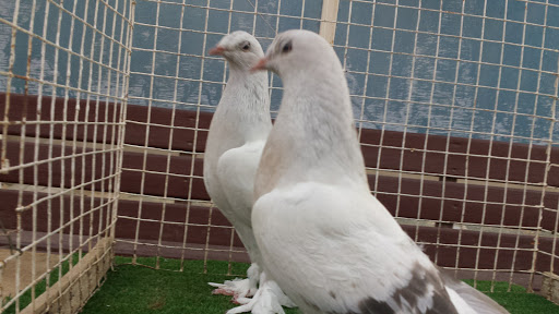 History Museum «Indiana State Museum», reviews and photos, 650 W Washington St, Indianapolis, IN 46204, USA