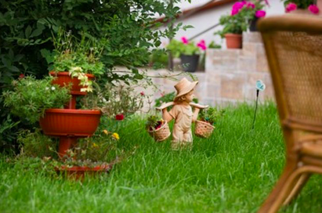 Дом за възрастни хора “Светлина” - Родопи