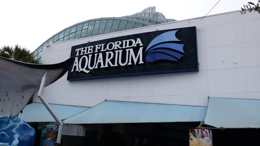 Shopping Mall «Channelside Bay Plaza», reviews and photos, 615 Channelside Dr #117, Tampa, FL 33602, USA