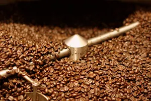 To Bean or Not to Bean - Stratford's Coffee Roasting Company image