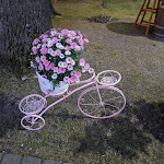 Photo n°3 de l'avis de nadine.u fait le 25/04/2024 à 19:36 sur le  Nature lovers Morfelden-Walldorf e.V. campsite II à Mörfelden-Walldorf