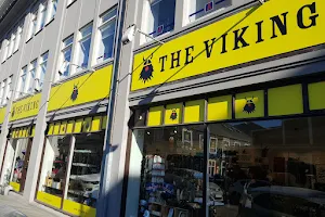 The VIKING image