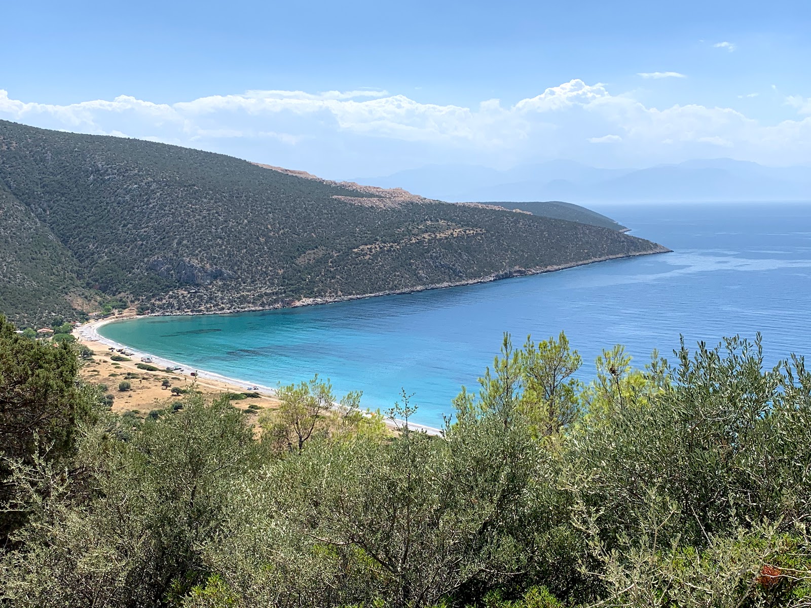 Fotografie cu Salzas beach amplasat într-o zonă naturală