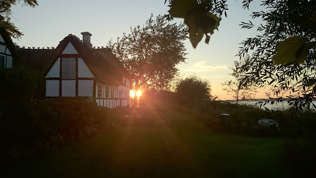 Lyø Havnegrill - Pizza