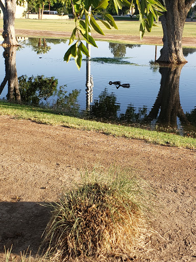 Community Center «Maryvale Community Center», reviews and photos, 4420 N 51st Ave, Phoenix, AZ 85031, USA