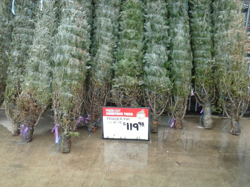 Home Improvement Store «The Home Depot», reviews and photos, 14053 S Bell Rd, Homer Glen, IL 60491, USA