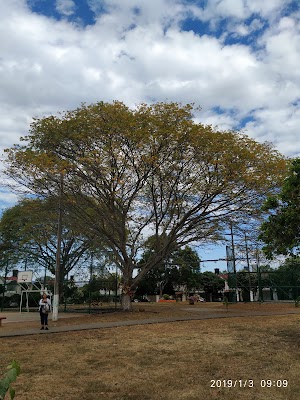 Parque de Villa Café - photo 1