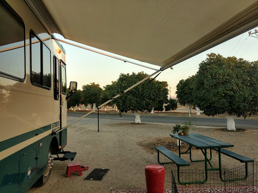 Orange Grove RV Park & Resort image