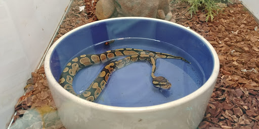 Pet Supply Store «Pet Supermarket», reviews and photos, 2800 Raeford Rd, Fayetteville, NC 28303, USA