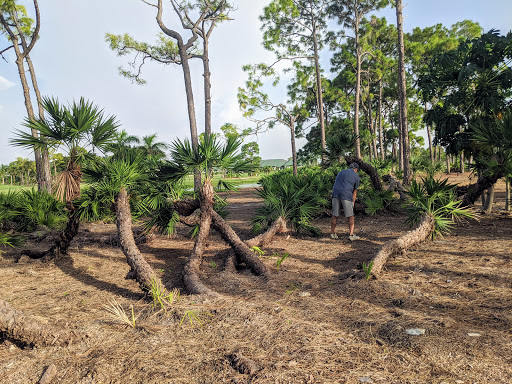 Country Club «Palmetto-Pine Country Club», reviews and photos, 1940 SW 9th Ct, Cape Coral, FL 33991, USA