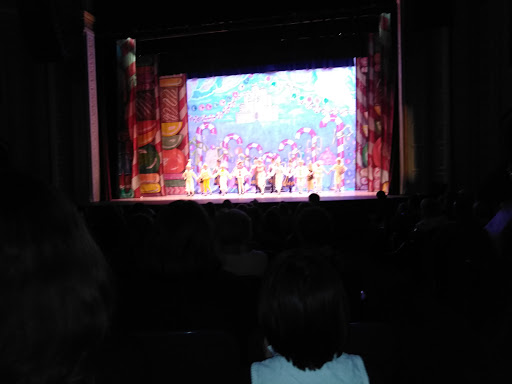 Performing Arts Theater «BARDAVON», reviews and photos, 35 Market St, Poughkeepsie, NY 12601, USA