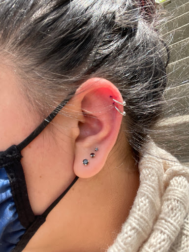 Explore animal tattoo sleeve ideas, creative tattoo ideas in Monroeville, available at Pacos Piercing