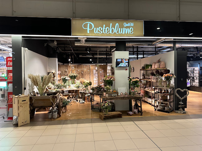 Pusteblume GmbH Thun